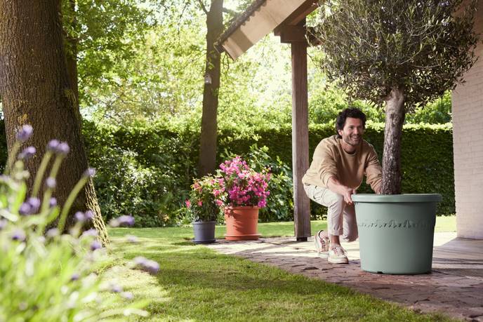 algarve cilindro 48cm Thymian grün